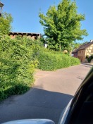 Foto: starke Sichtbehinderung 